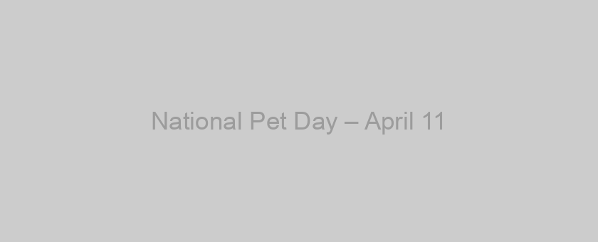 National Pet Day – April 11